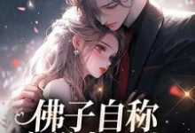 小说佛子自称空巢老男人？我真的笑了主角苏晚杳傅慎廷免费阅读-木头文学