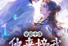 主角是谢莹的小说家道中落，他来接我当主母？在哪免费看-木头文学