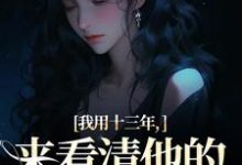 我用十三年，来看清他的真心无常最新章节我用十三年，来看清他的真心无常在线阅读-木头文学