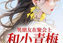 小说男朋友在聚会上，和小青梅吻红温了主角徐乔兮贺司裴免费阅读-木头文学