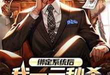 绑定系统后，我一元秒杀一辆奔驰大结局，林帆唐若冰小说无广告阅读-木头文学