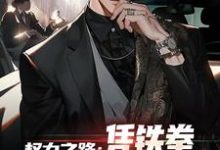 权力之路：凭铁拳，我令黑势力退避（步青云王东林）最新章节免费在线阅读-木头文学