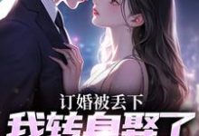 订婚被丢下，我转身娶了娇娇千金（主角江辰苏密）完结版免费阅读-木头文学