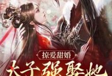 贺玥宁如颂最新章节掠爱甜婚：太子强娶她入东宫免费阅读-木头文学