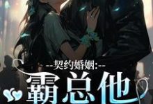 契约婚姻：霸总他超会宠精彩章节在线免费阅读（苏锐秦众）-木头文学