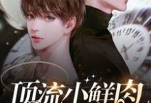 小说顶流小鲜肉每天只想官宣主角梦泽免费阅读-木头文学