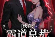 叶兮禾康易初小说免费阅读最新章节列表，快穿：霸道总裁别太爱小说在线看-木头文学