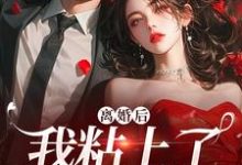 舒愿陆骁最新章节列表离婚后，我粘上了那位大佬免费阅读-木头文学