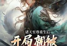 诸天至尊重生后,开局就被频频挑衅(顾云)最新章节在线阅读-木头文学