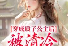 主人公是阮今禾殷珩的小说穿成质子公主后，被清冷太子宠了！免费阅读-木头文学