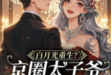 求助这本白月光重生？京圈太子爷被撩红温小说在哪里可以看完结版-木头文学