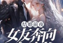 结婚前夜，女友奔向白月光精彩章节在线免费阅读（秦凯）-木头文学