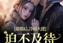 退婚后，冷面大佬迫不及待要娶我（黎九霍骁）最新章节免费阅读-木头文学