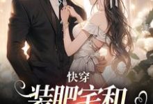 快穿：装肥宅和男主网恋后精彩章节阅读(泠宝桑泠)免费阅读大结局-木头文学