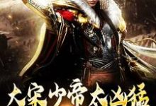 小说大宋少帝太凶猛，胡虏跪求放过主角赵昺张世杰免费阅读-木头文学