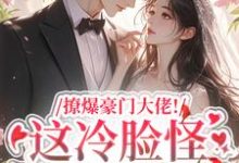 撩爆豪门大佬！这冷脸怪居然很纯情热门小说(云漾裴今墨)在线阅读无弹窗-木头文学