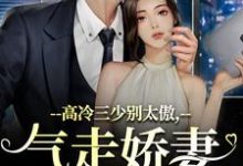 高冷三少别太傲，气走娇妻你完了！（江晚宁庄凌洲）最新章节在线阅读-木头文学