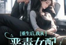 小说重生后，我从恶毒女配变清纯白花主角沈黎霍司衍免费阅读-木头文学