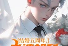 跪求主角是苏尘顾轻雪的小说书名叫什么-木头文学