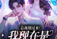 陆绾绾沈俞瑾小说的结局在哪可以看,总裁别过来!我现在是事业上升期免费阅读完结版-木头文学