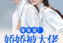 宠宠宠！娇娇被大佬拿命宠热门小说(叶初夏陆执)在线阅读无弹窗-木头文学