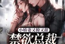 小娇妻又撩又甜，禁欲总裁宠上瘾免费阅读，江熹季向聿大结局无弹窗-木头文学
