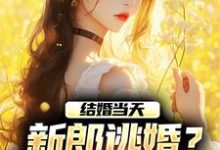 结婚当天，新郎逃婚？我当场改嫁！最新章节结婚当天，新郎逃婚？我当场改嫁！在线阅读-木头文学