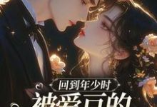 回到年少时,被爱豆的死对头盯上了大结局,初夏林澈小说无广告阅读-木头文学