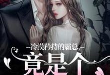 冷漠矜持的霸总，竟是个纯爱战士无弹窗宋诗予段斯昀最新章节列表-木头文学