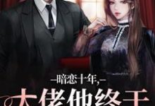 暗恋十年,大佬他终于持证上岗了(沈清沅贺景川)完结版免费阅读-木头文学