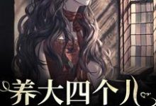 养大四个儿,八个孙,凄惨离世后免费阅读(黄晚晴宋长武)小说免费读最新章节-木头文学