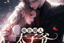 小说夜色撩人，太子爷为她乱了心主角楚璃徐砚周免费阅读-木头文学