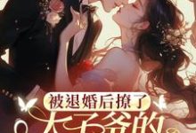 被退婚后撩了太子爷的检察官小叔（陆砚昇乔曦）最新章节免费阅读-木头文学
