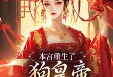 本宫重生了，狗皇帝你等着瞧！（张承佑周明婉）最新章节免费阅读-木头文学