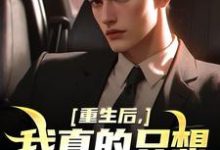 重生后，我真的只想做好事免费阅读，叶白大结局无弹窗-木头文学