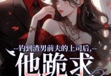 钓到渣男前夫的上司后，他跪求放过（主角苏锦萧云锋）完结版免费阅读-木头文学