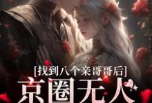 找到八个亲哥哥后，京圈无人敢惹她小说最新章节在哪里可以免费看-木头文学