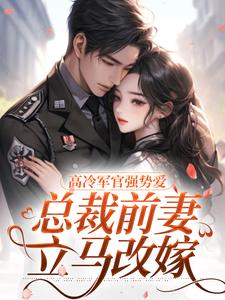 高冷军官强势爱，总裁前妻立马改嫁完结版杨念念陆文彬免费阅读大结局