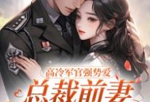 小说高冷军官强势爱，总裁前妻立马改嫁主角杨念念陆文彬免费阅读-木头文学