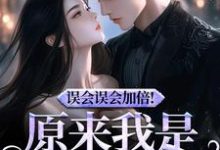 误会误会加倍！原来我是他的挚爱（宁穗季晏辞）最新章节在线阅读-木头文学