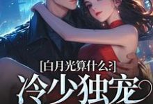 白月光算什么？冷少独宠拍卖师！（宋词慕景川）完结版免费阅读-木头文学
