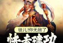 徒儿！你无敌了，快去建功立业吧！（叶风）最新章节免费阅读-木头文学