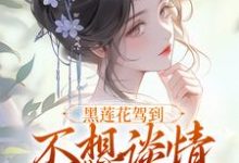 黑莲花驾到，不想谈情只想晋升免费阅读(宁司寒林妩)小说免费读最新章节-木头文学