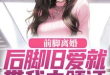 前脚离婚，后脚旧爱就带我去领证免费阅读(陆沉苏婉清)小说免费读最新章节-木头文学