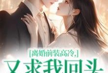主角是苏念封承烬的小说离婚前装高冷，又求我回头做什么在哪免费看-木头文学