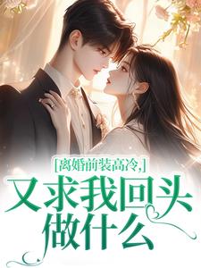 求助这本离婚前装高冷，又求我回头做什么小说在哪里可以看完结版