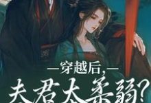 穿越后，夫君太柔弱？我来夺江山无弹窗沈微萧御衡最新章节列表-木头文学