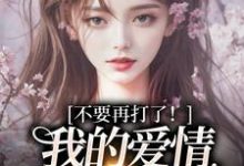 不要再打了！我的爱情我自己选精彩章节阅读(苏暖裴撤)免费阅读大结局-木头文学
