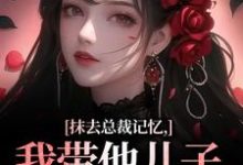抹去总裁记忆,我带他儿子回苗寨(裴景澈梨尤笙)最新章节在线阅读-木头文学