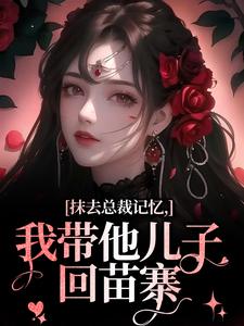 求助这本抹去总裁记忆，我带他儿子回苗寨小说在哪里可以看完结版